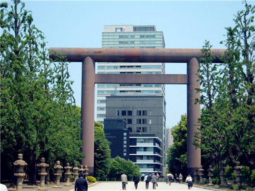 1584150878870254.png 图片10.png