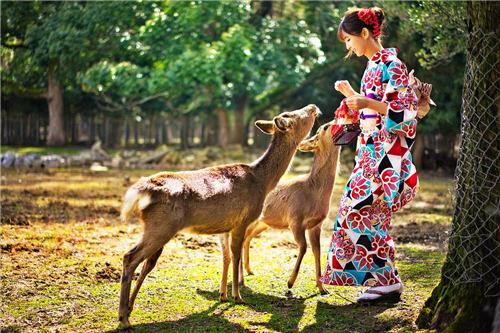 1584171231726946.png 微信图片_20200314152707.png