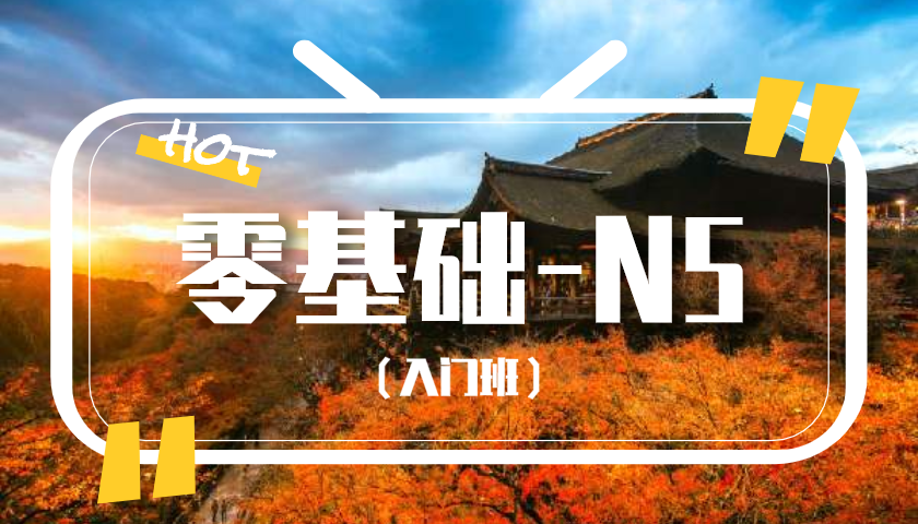 入门班（录播课）